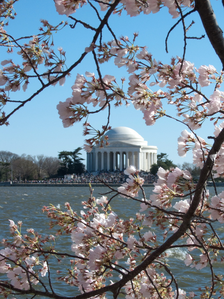 AgentOfChange_JeffersonMemorial