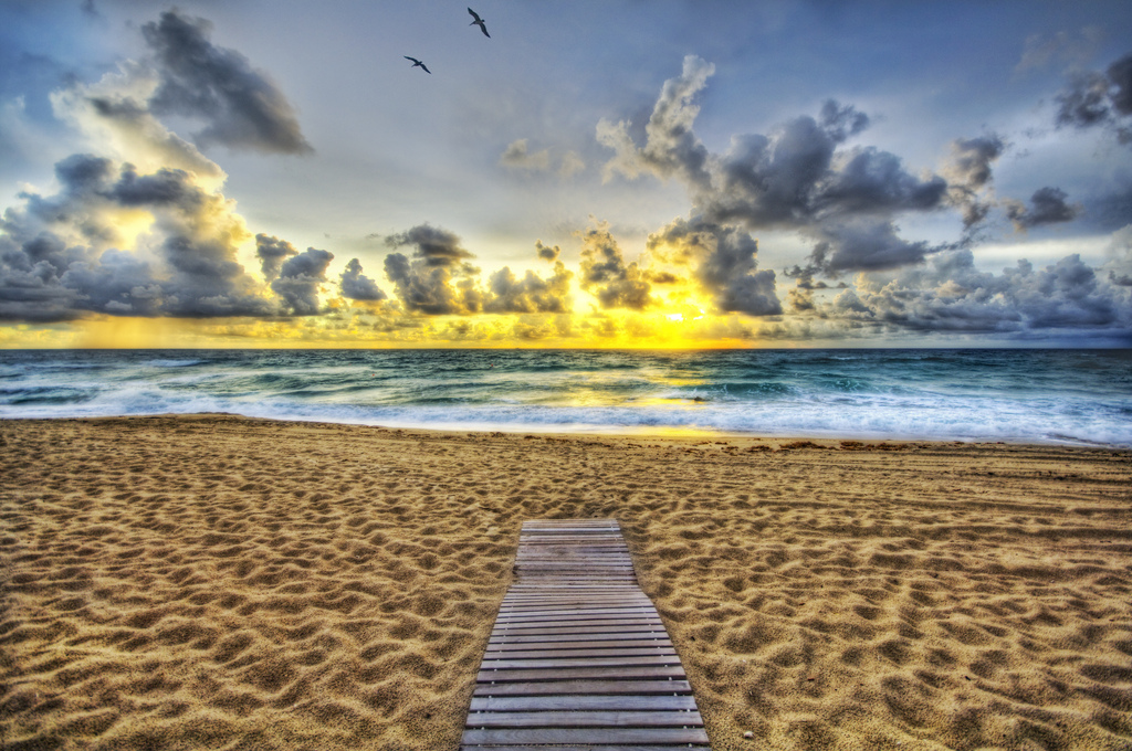 A Lonely Walk to the Ocean