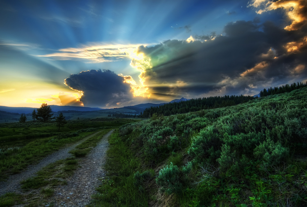 The Dirt Road to the Nuclear Blast Site